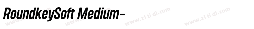 RoundkeySoft Medium字体转换